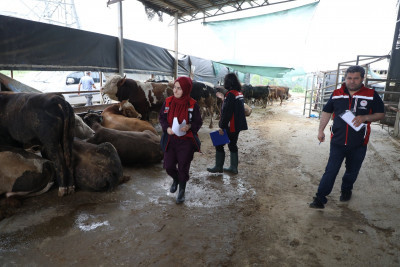 Kurban satış ve kesim yerleri denetleniyor
