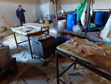 Eyüpsultan'da Ruhsatsız Hayvan Ayağı İşleme Tesisi Mühürlendi