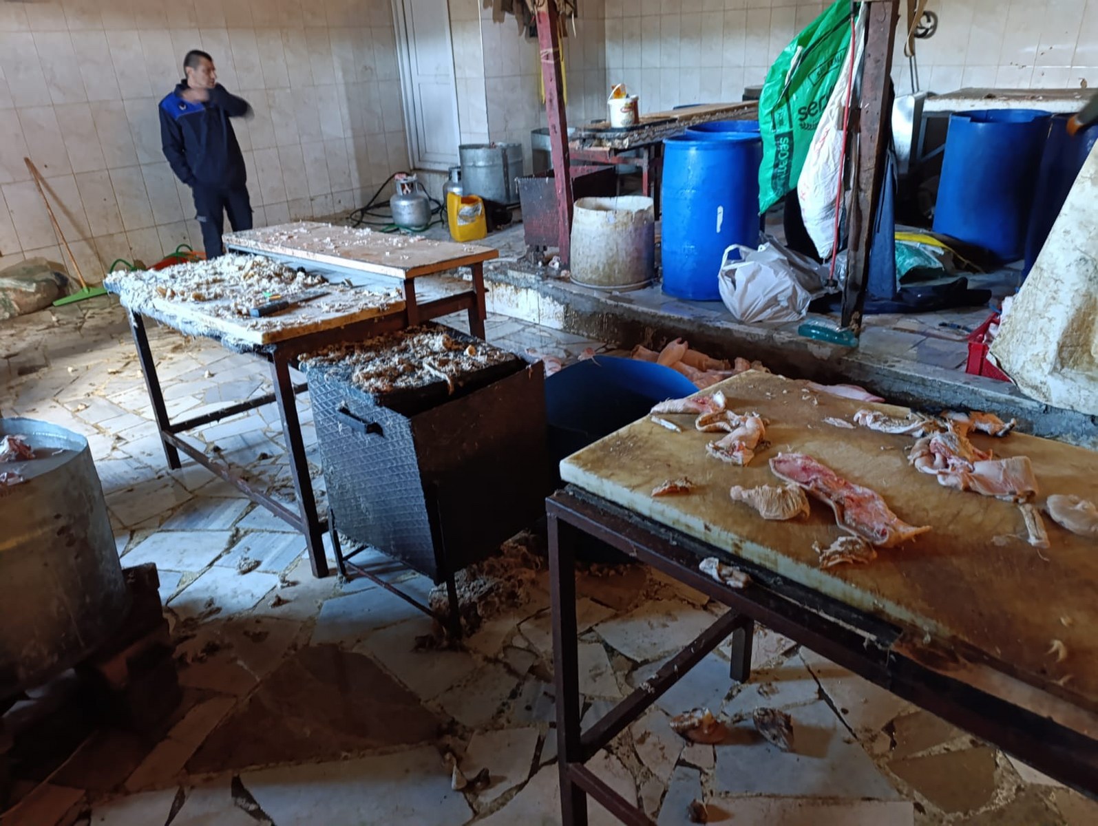 Eyüpsultan'da Ruhsatsız Hayvan Ayağı İşleme Tesisi Mühürlendi