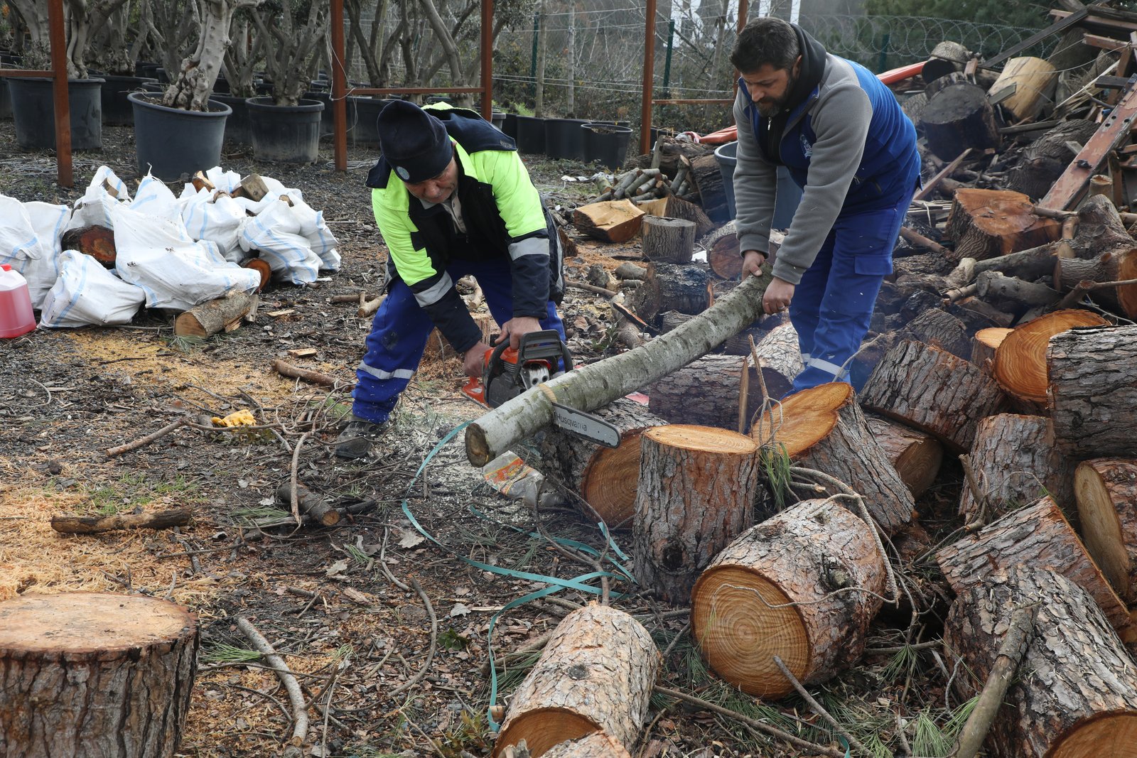 Fırtınada devrilen ağaçlar ihtiyaç sahiplerini ısıtıyor