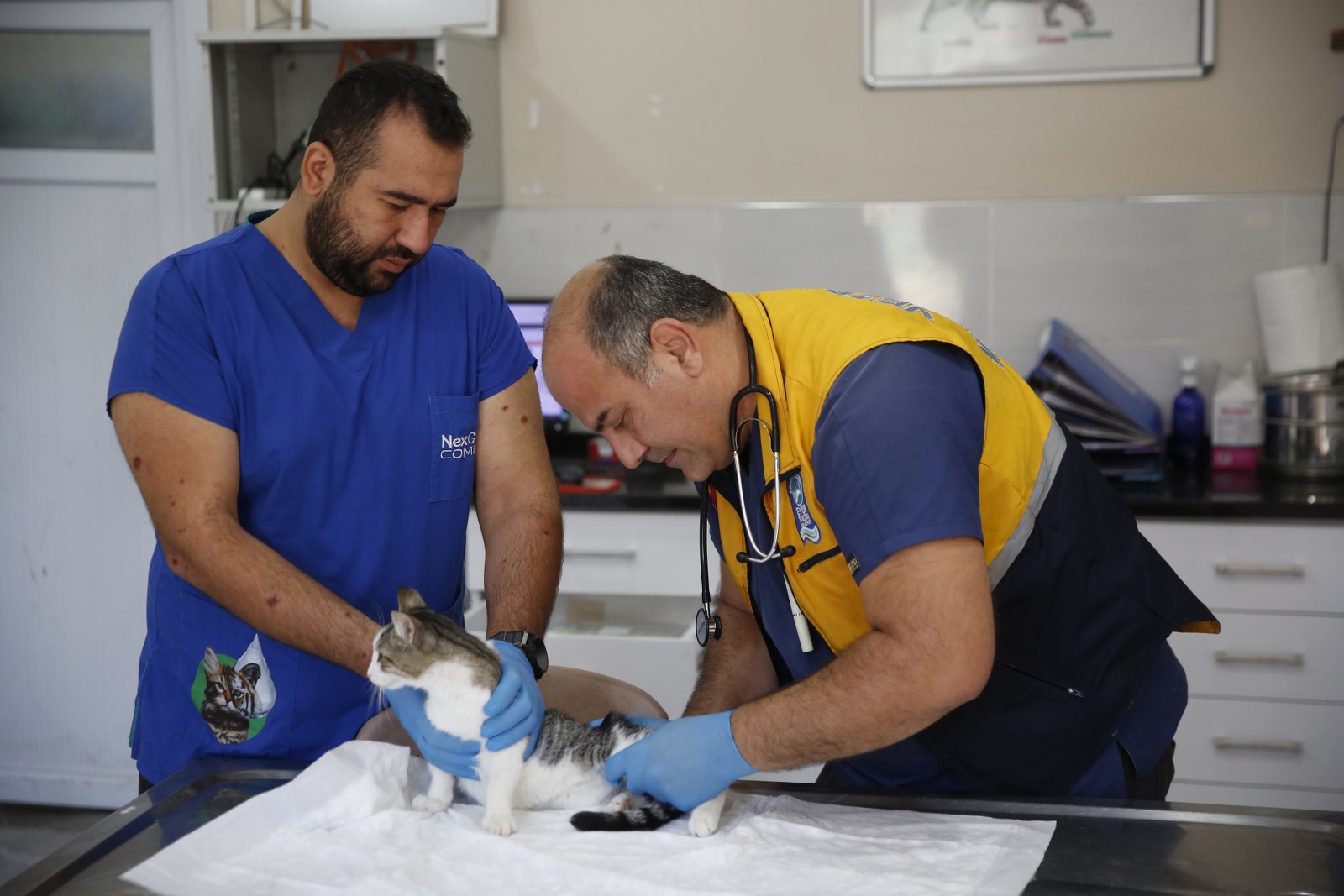 Kemerburgaz Sokak Hayvanları Kliniği Can Dostların Yanında