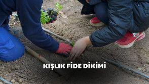 Ahmet Edip Önder Özel Eğitim Meslek Okulu'ndaki öğrencilerimiz kışlık fide dikimi